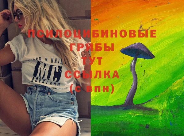сатива Алзамай