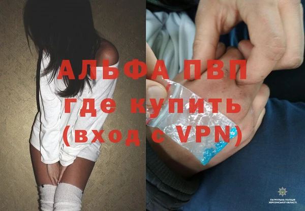 сатива Алзамай