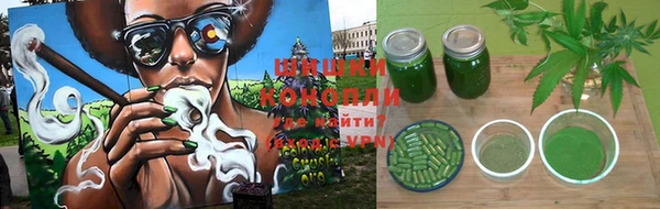 гашик Алексеевка
