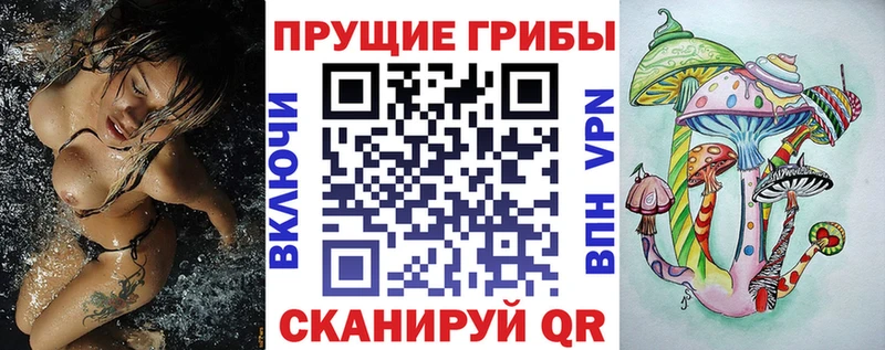 Псилоцибиновые грибы Psilocybe наркота мега сайт Венёв